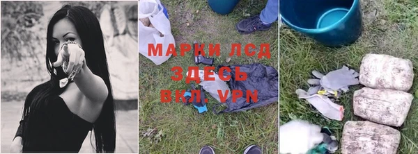 гидропоника Горнозаводск