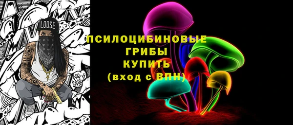 гидропоника Горнозаводск