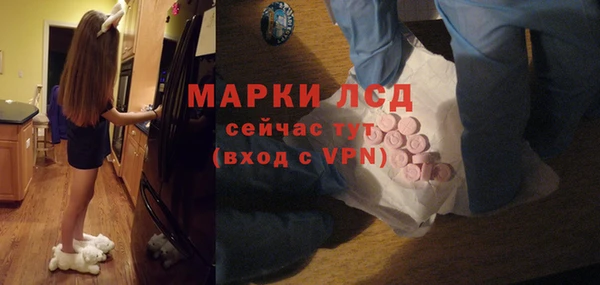 гидропоника Горнозаводск