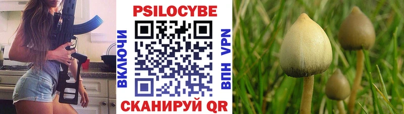 Псилоцибиновые грибы Cubensis  Меленки 
